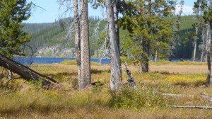 Shoshone Lake at Lewis River-2