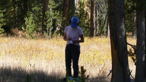 writing desk near Grebe Lake