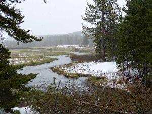 wet day on Gibbon River