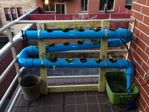 Brooklyn spring garden