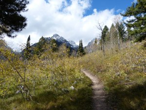 a road less traveled