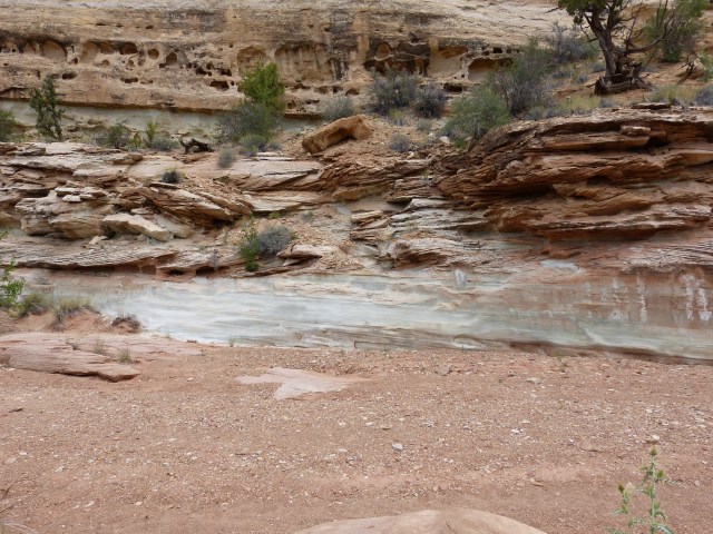 pistachio ice cream rocksicle